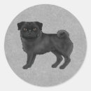 Search for black pug stickers Canine