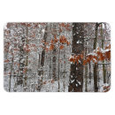 Search for oak tree magnets Trees