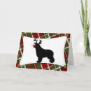 Search for newfies postcards Xmas