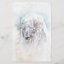 Search for native bison Animal