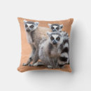 Search for lemur cushions Wildlife