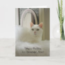 Search for pretty cat birthday cards Cats