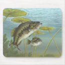 Search for largemouth mouse mats Hunting