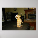 Search for christmas dachshund posters Wiener dog