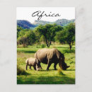 Search for rhino postcards Landscape