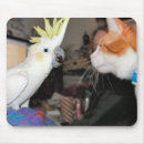 Search for ferretisms electronics Pet