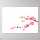 Search for cherry blossom posters Watercolor