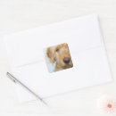 Search for mixed breed dog stickers Puppy