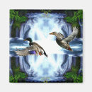 Search for duck hunter magnets Ducks