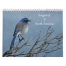 Search for north calendars Animals