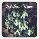 Search for snowdrops stickers Floral
