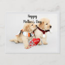 Search for your mom postcards Happy mother's day