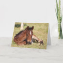 Search for lying down cards Resting