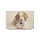 Search for focus home living Puppy