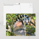 Search for antananarivo madagascar postcards Africa
