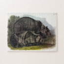 Search for brown bear puzzles Illustration
