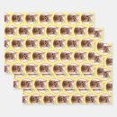 Search for humor wrapping paper Silly