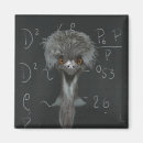 Search for einstein Funny