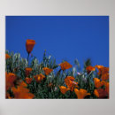 Search for depth of field posters Environment