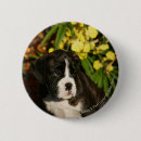 Search for headshot badges Puppies