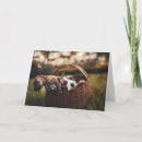 Search for beagle lovers cards Puppies