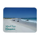 Search for hawaii souvenir magnets Beach