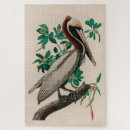 Search for audubon birds puzzles Nature
