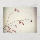 Search for spring bud postcards Branch
