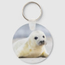 Search for fluffy key rings Nature