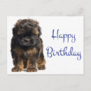 Search for havanese dog cards Puppy
