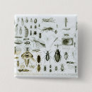 Search for zoology badges Bugs