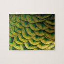 Search for feather puzzles Nature