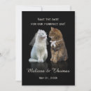 Search for funny cat save the dates Humour