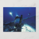 Search for dive gear postcards Asia
