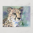 Search for watercolor drawing postcards Wildlife