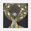 Search for disco ball magnets Funny