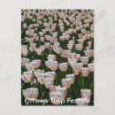 Search for flower festival postcards Floral
