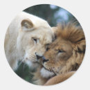 Search for lioness stickers Lions