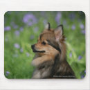 Search for headshot mouse mats Loulou