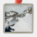 Search for greenland christmas tree decorations Coastline