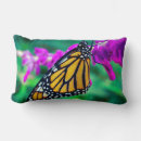 Search for purple butterfly cushions Beautiful
