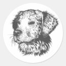 Search for dog supplies stickers Cute