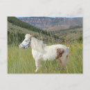 Search for miniature horse Cute