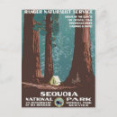 Search for sequoia national park postcards Usa