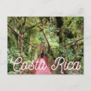 Search for monteverde postcards Nature