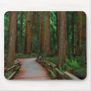 Search for muir woods mouse mats California