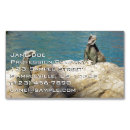 Search for wildlife photography business cards Animal