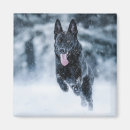 Search for wolf lovers magnets Dog