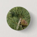 Search for pine badges Tree