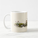 Search for snail mugs Slow